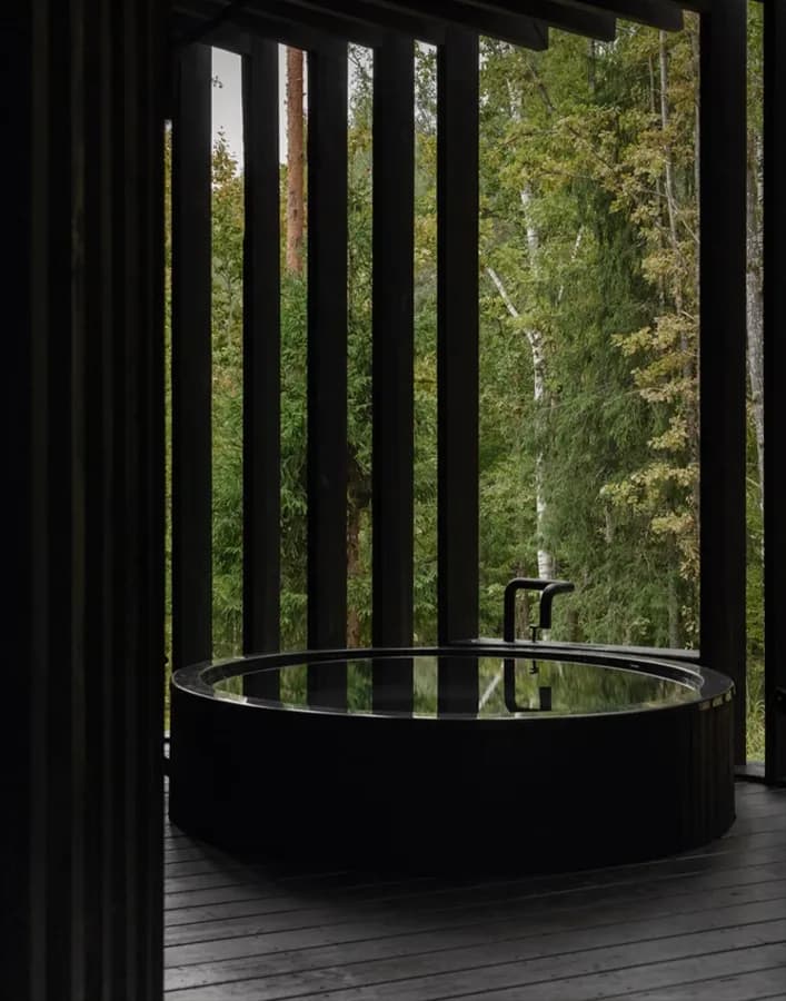 Wellness & Longevity