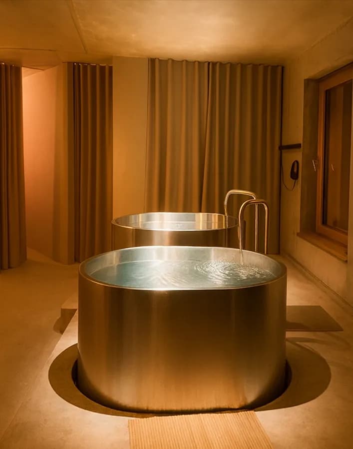 Wellness & Longevity