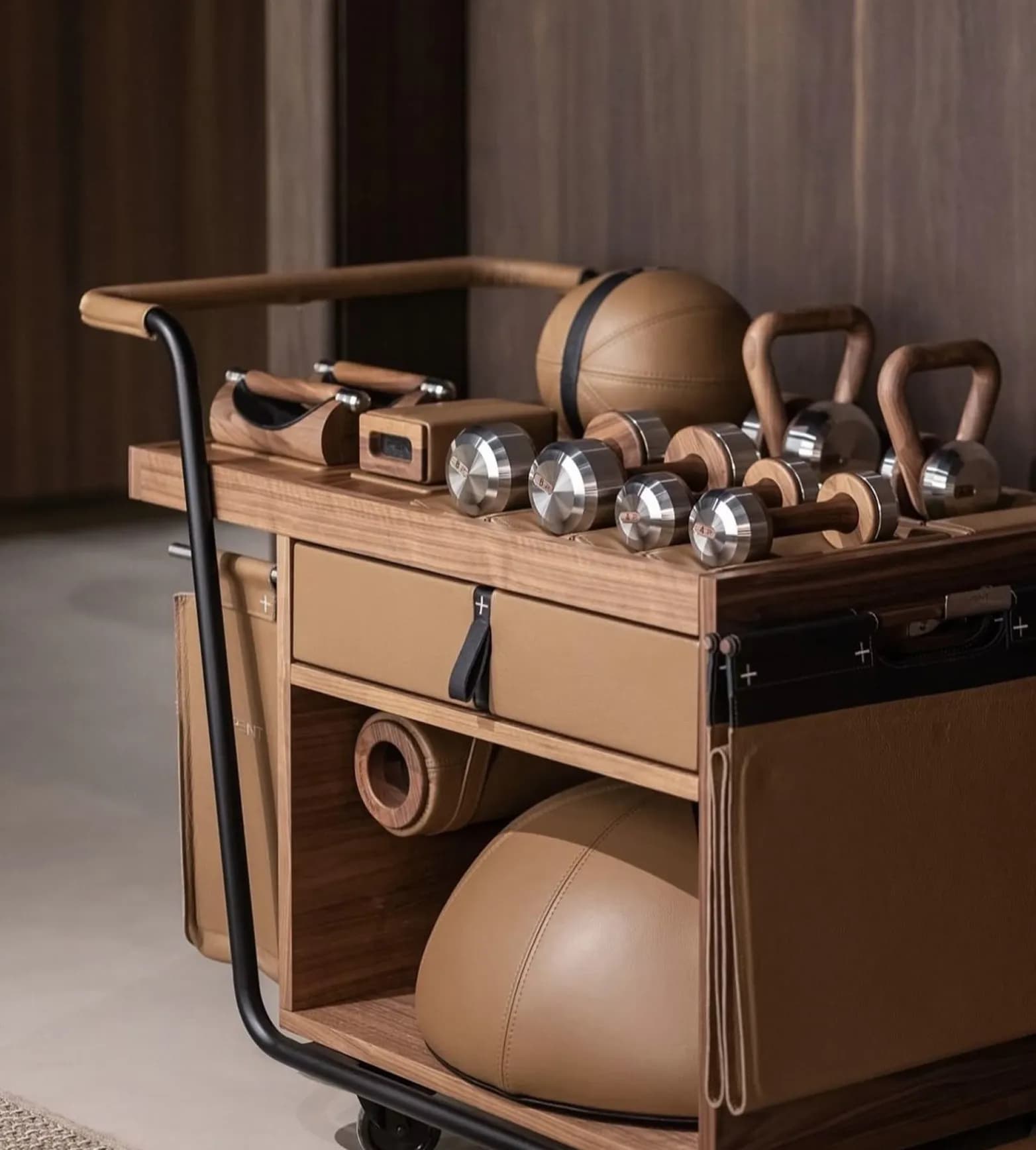 Luxury fitness cart with leather accessories, wooden dumbbells and stainless-steel weights